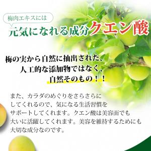 紀州産梅肉エキス 50g 1個 (濃縮エキス/...の詳細画像4