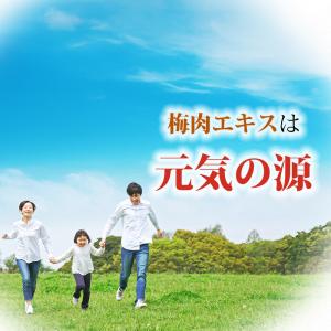 紀州産梅肉エキス 50g 1個 (濃縮エキス/...の詳細画像5