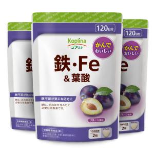 鉄・Fe＆葉酸 240粒 3袋360日分  (タブレット/チュアブル/貯蔵鉄/鉄分/鉄活/プルーン風味/おいしいサプリ/健康/サプリ/栄養/国内製造)