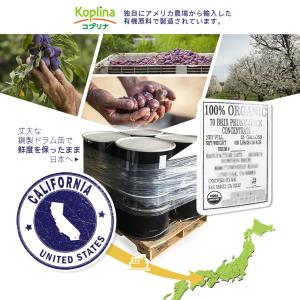 有機プルーンエキス 280g 2個 (濃縮エキ...の詳細画像4