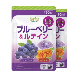 ＼43％OFF／ブルーベリー＆ルテイン 60粒 2袋120日分  (高濃度/北欧産ビルベリー/アントシアニン/ルテイン/健康/サプリ/栄養/国内製造)