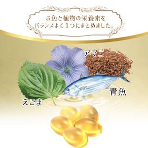 (まとめ買い)オメガ3 150粒 1個30日分の詳細画像2