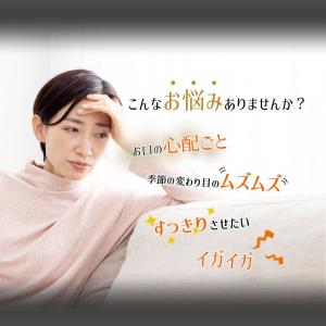 国産なたまめ茶 3gx30包 1袋 (テトラ型...の詳細画像4