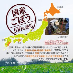 ＼9%OFF/国産焙煎ごぼう茶 1.5gx50...の詳細画像2
