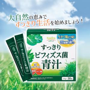 ＼45%OFF/新すっきりビフィズス菌青汁 2...の詳細画像1