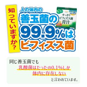 ＼45%OFF/新すっきりビフィズス菌青汁 2...の詳細画像4