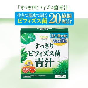 ＼45%OFF/新すっきりビフィズス菌青汁 2...の詳細画像5