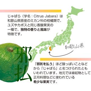 じゃばらの粒 60粒 2個60日分 (小粒/和...の詳細画像3