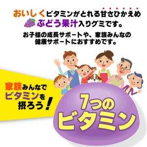 グミサプリ ビタミン 60粒 1袋20日分 (...の詳細画像3