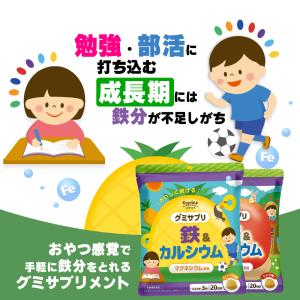グミサプリ 鉄&カルシウム 60粒 3...の詳細画像5
