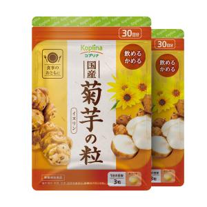 フォーデイズ エレン Z キノコ抽出物・乳酸菌加工食品 エレンZ FORDAYS