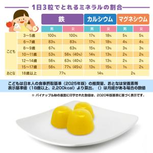 グミサプリ 鉄&カルシウム(りんご味) 180...の詳細画像4