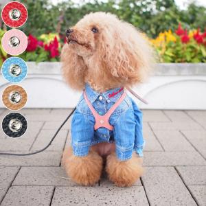 buddybelt（バディベルト）オールレザーリード スワロフスキー