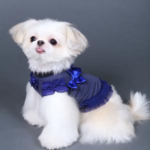 SALE70%OFF GODPIVA（ゴッドピバ）ベジタブルパーカー トマト XXS