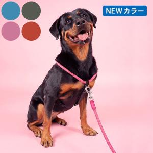SALE30%OFF HIGH5DOGS（ハイファイブドッグ）メトロポリタン