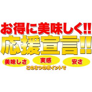 訳あり 豆乳 おからクッキー プレーン約100...の詳細画像3