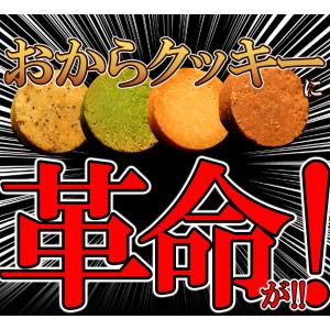豆乳 おからクッキー フォーゼロ 1kg 訳あ...の詳細画像2