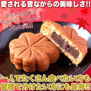 ふんわり もみじ饅頭 10個お試し 紅葉まんじ...の詳細画像1