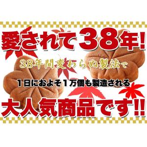 ふんわり もみじ饅頭 10個お試し 紅葉まんじ...の詳細画像2