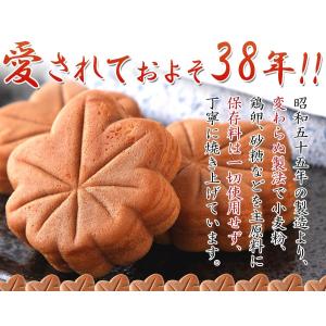 ふんわり もみじ饅頭 10個お試し 紅葉まんじ...の詳細画像5