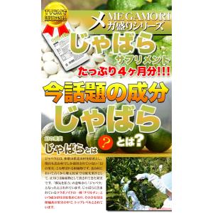 じゃばら サプリ メント 約4ヵ月分メガ盛り ...の詳細画像3