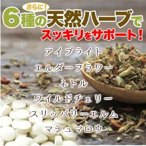 じゃばら サプリ メント 約4ヵ月分メガ盛り ...の詳細画像4