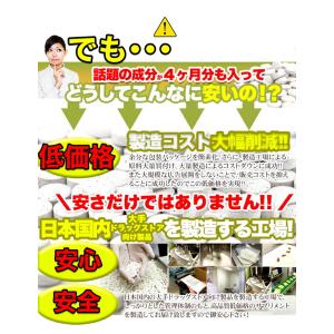 じゃばら サプリ メント 約4ヵ月分メガ盛り ...の詳細画像5