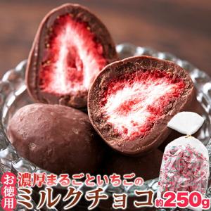 【お徳用】濃厚まるごといちごのミルクチョコ250g（黒）【バレンタイン】