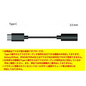 【並行輸入品】《アナログ専用》Type-C t...の詳細画像2