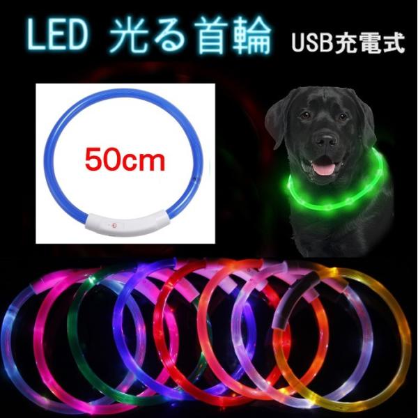 LED 光る首輪 《ブルー 50cm》 USB充電式 ペット用 犬 猫 散歩 点滅 リード 安全 事...