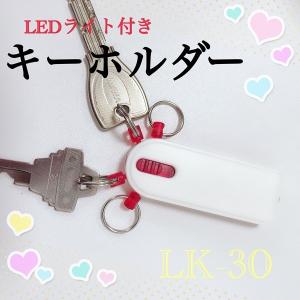 LEDライト付キーホルダー 4連 鍵 カラビナ...の詳細画像2