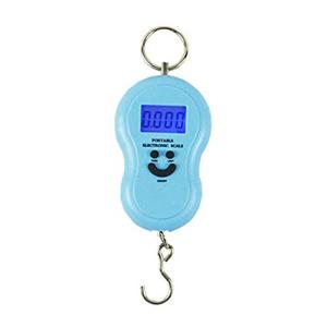 50Kg X 10Gポータブルデジタルスケールミニ釣り荷物トラベルスケールの重さの電子手荷物電子スチールヤードハンギングフックスケールキッチンウェイト