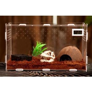 亀 飼育 セットの商品一覧 通販 Yahoo ショッピング