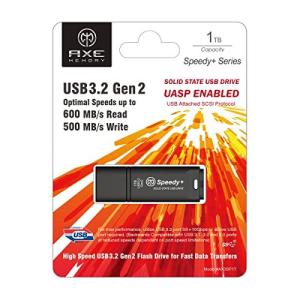 AXE 1TB 外付SSD USBメモリ USB