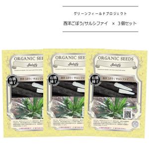 A168 西洋ゴボウ サルシファイ ごぼう 御坊 0 6g 3個セット 有機種子 固定種 たね タネ グリーンフィールドプロジェクト ポスト投函便対象 3 マグーズショップ 通販 Yahoo ショッピング
