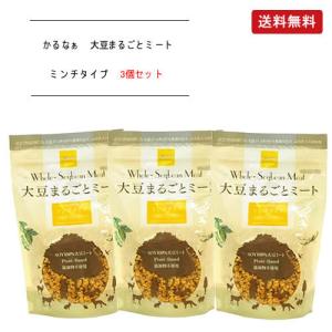 KaRuNa(かるなぁ) 大豆まるごとミート 大豆ミート ミンチタイプ 100g×3個セット【送料無料(コンパクト便)】