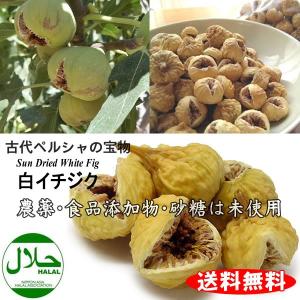 ペルシャ産 白いちじく 110g バイオシード