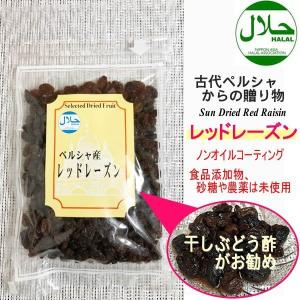 レーズン レッドレーズン 120g 無添加 砂糖不使用 バイオシード 便対象