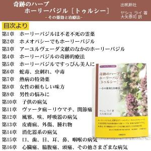 奇跡のハーブ ホーリーバジル　[トゥルシー]　