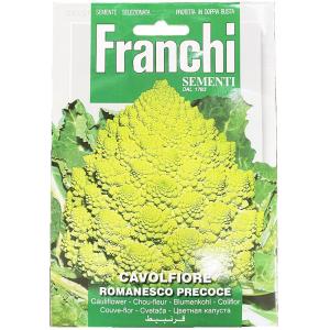 輸入種子 Franchi Sementi Cavolfiore Romanesco Precoce カリフラワー ロマネスコ フランチ社 Yasaitane 952 Gardener S Shop Ivy 通販 Yahoo ショッピング