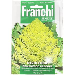 輸入種子 Franchi Sementi Cavolfiore Romanesco Precoce カリフラワー ロマネスコ フランチ社 Yasaitane 952 Gardener S Shop Ivy 通販 Yahoo ショッピング