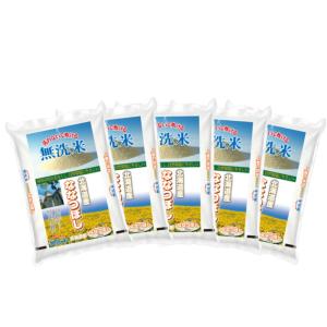 ななつぼし 新米北海道産 玄米ななつぼし10kg 1等米 令和7年度産 送料