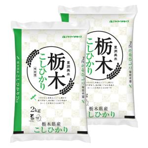 米 20キロ 栃木県産コシヒカリ コシヒカリ 【精米】栃木県産コシヒカリ 5kg : ヤマイチSHOP - 通販