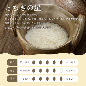 【精米】栃木県産とちぎの星 5kg×2袋 合計...の詳細画像2