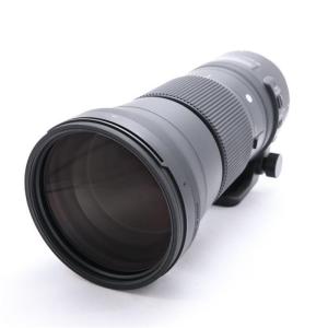 《良品》SIGMA C 150-600mm F5-6.3 DG OS HSM (キヤノンEF用)