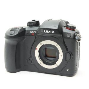 《並品》Panasonic LUMIX DC-GH5S ボディ