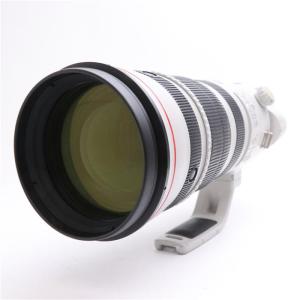 《並品》Canon EF200-400mm F4L IS USM エクステンダー 1.4X｜ymapcamera