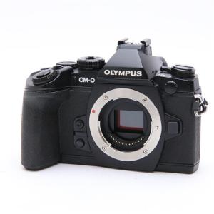 《難有品》OLYMPUS OM-D E-M1 ボディ