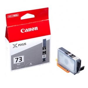 《新品アクセサリー》 Canon（キヤノン） インクタンク PGI-73GY グレー【在庫限り】｜ymapcamera