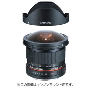 Samyang XP 14mm F2.4 ニコンFマウント　美品 SAMYANG XP 14mm F2.4 ニコンFマウント｜新品通販フジヤカメラ